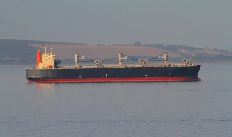 PRO GRACE Bulk Carrier IMO 9342736 photo 7