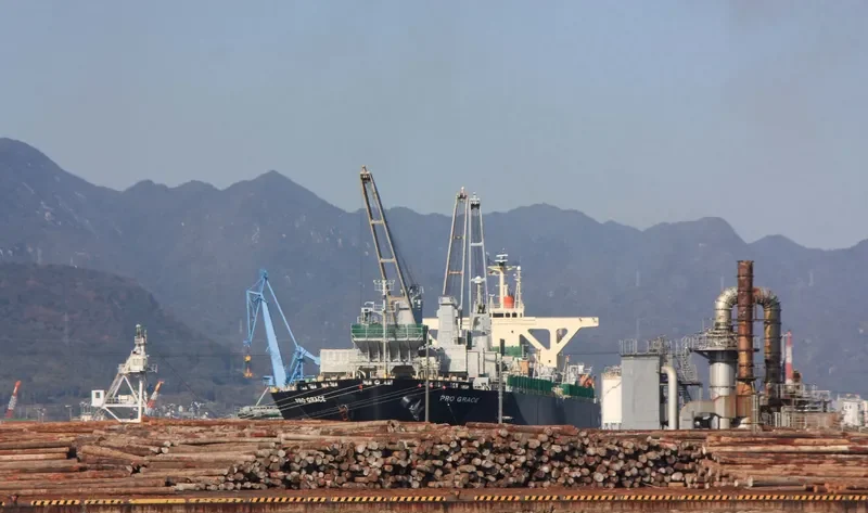 PRO GRACE Bulk Carrier IMO 9342736 photo 8