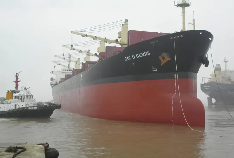 GOLD GEMINI Bulk Carrier IMO 9342750 photo 2