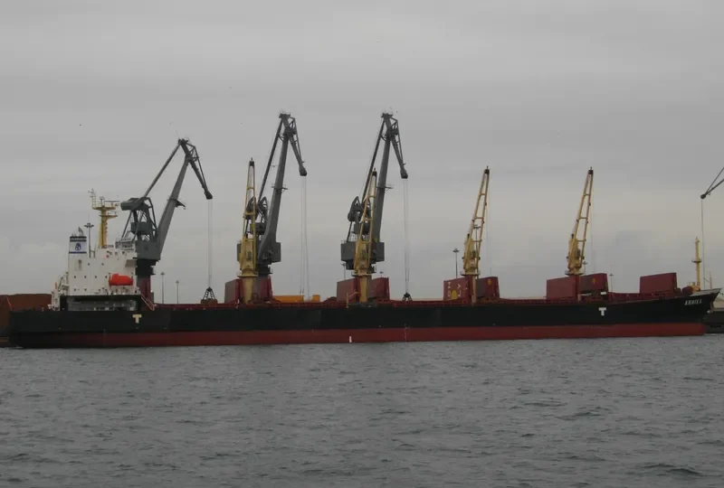 GOLD GEMINI Bulk Carrier IMO 9342750 photo 5