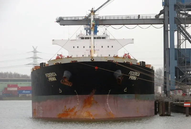 ORIENT PRIMA Bulk Carrier IMO 9342803 photo 3