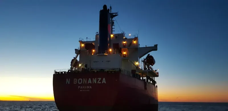 N BONANZA Bulk Carrier IMO 9342815