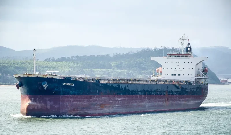 N BONANZA Bulk Carrier IMO 9342815 photo 7