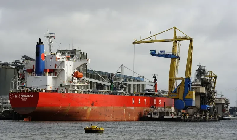 N BONANZA Bulk Carrier IMO 9342815 photo 9