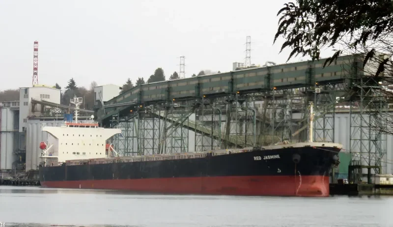 FANTASEA Bulk Carrier IMO 9342827 photo 4