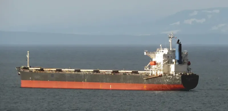 FANTASEA Bulk Carrier IMO 9342827 photo 7