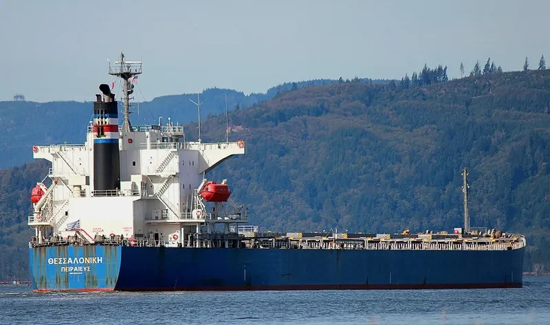 AMOY SUNNY Bulk Carrier IMO 9342841