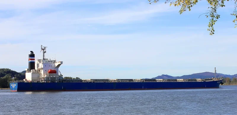 AMOY SUNNY Bulk Carrier IMO 9342841 photo 3