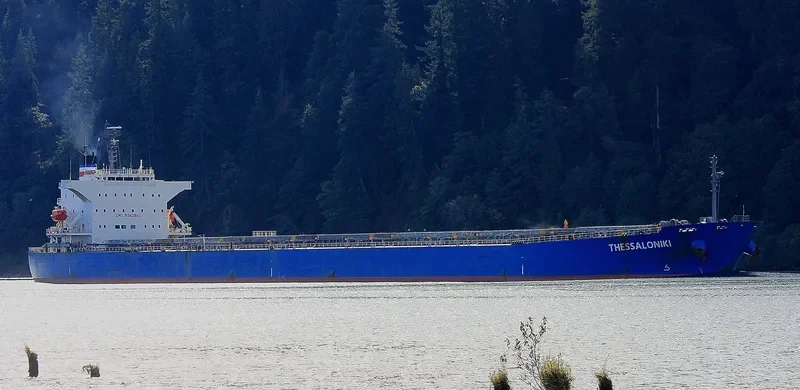 AMOY SUNNY Bulk Carrier IMO 9342841 photo 5