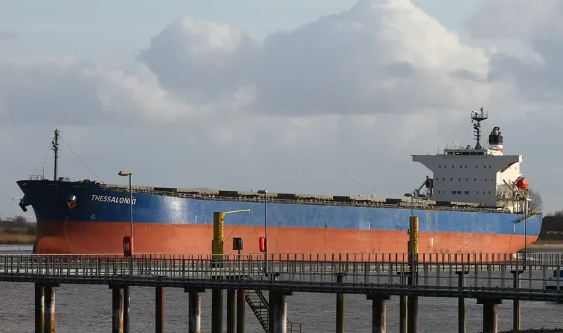 AMOY SUNNY Bulk Carrier IMO 9342841 photo 6
