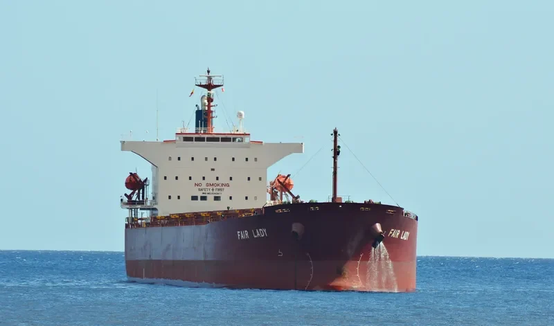 FAIR LADY Bulk Carrier IMO 9342877 photo 4
