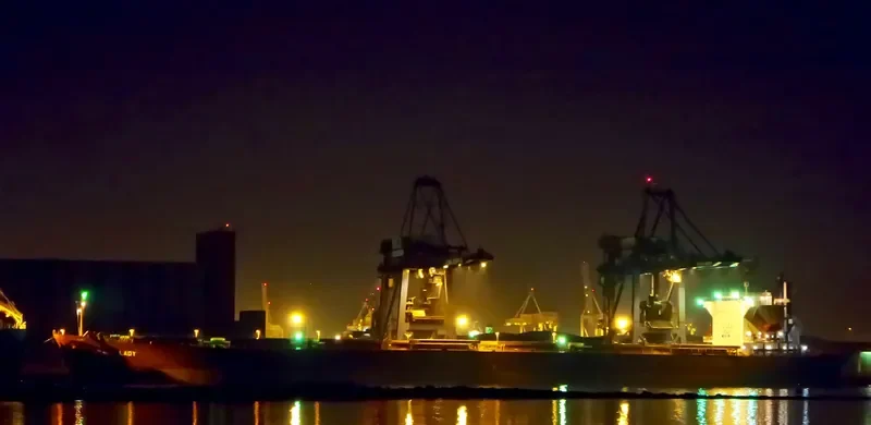 FAIR LADY Bulk Carrier IMO 9342877 photo 6