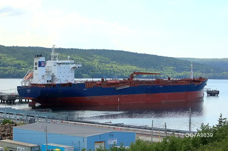 TEAM CAVATINA Tanker IMO 9343209