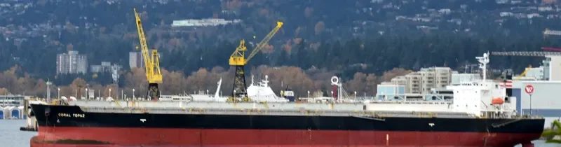 CORAL TOPAZ Bulk Carrier IMO 9343314 photo 4