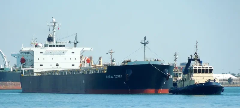 CORAL TOPAZ Bulk Carrier IMO 9343314 photo 7