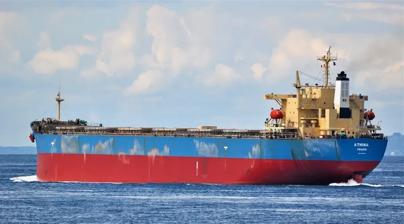 BETTYS PERFECTION Bulk Carrier IMO 9343326 photo 6