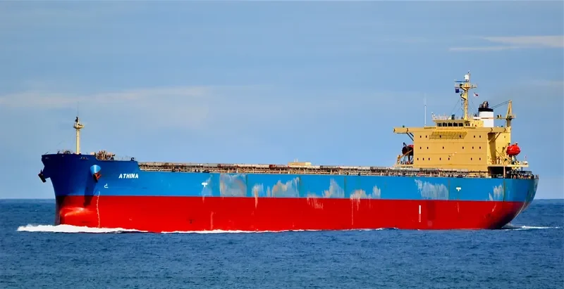 BETTYS PERFECTION Bulk Carrier IMO 9343326 photo 7