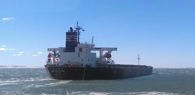 SHIN SANYO MARU Bulk Carrier IMO 9343508