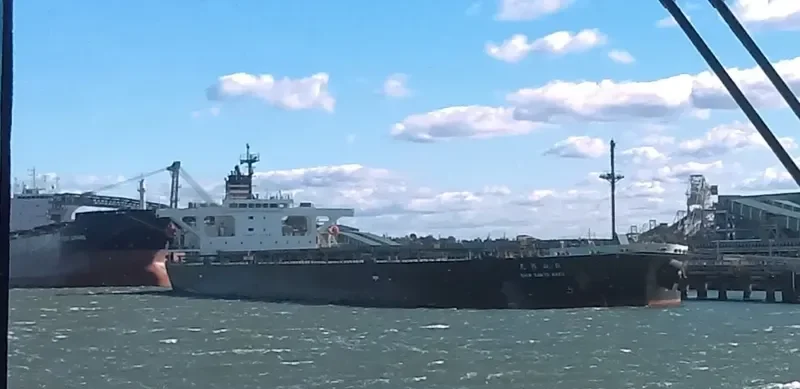 SHIN SANYO MARU Bulk Carrier IMO 9343508 photo 2