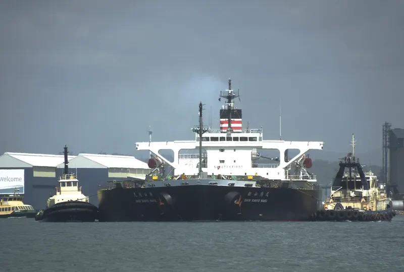 SHIN SANYO MARU Bulk Carrier IMO 9343508 photo 5
