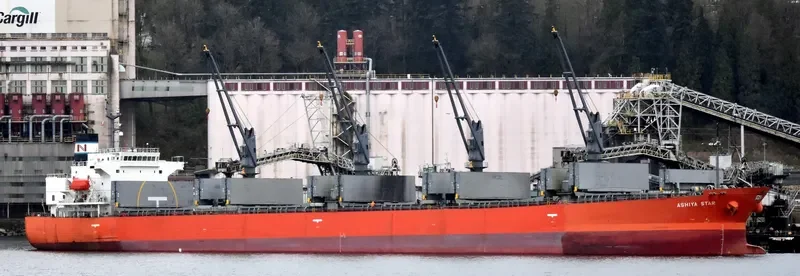 ASHIYA STAR General Cargo IMO 9343522 photo 3