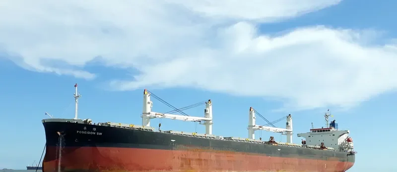 CAPTAINYANNIS L Bulk Carrier IMO 9343546