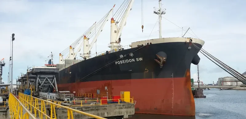 CAPTAINYANNIS L Bulk Carrier IMO 9343546 photo 6