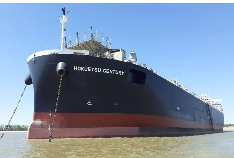 HOKUETSU CENTURY Bulk Carrier IMO 9343560 photo 6