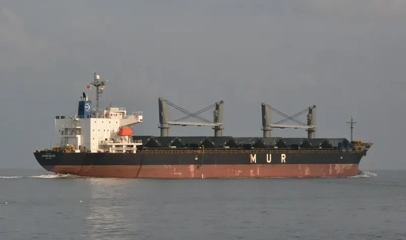 AFRICAN HALCYON General Cargo IMO 9343613 photo 3