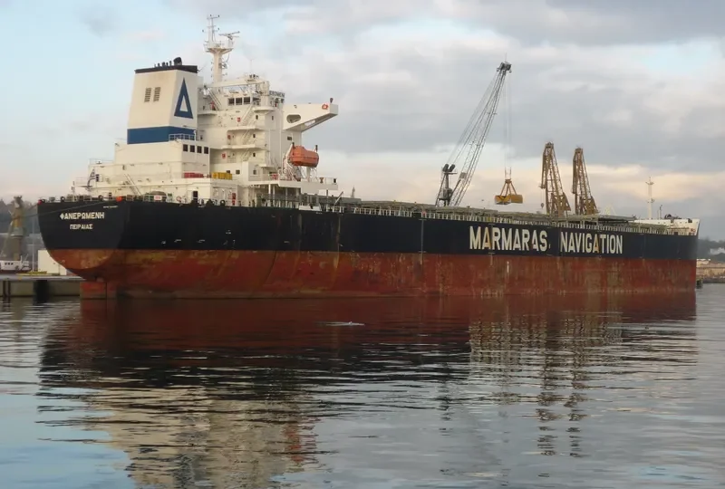 FANEROMENI Bulk Carrier IMO 9343857 photo 3