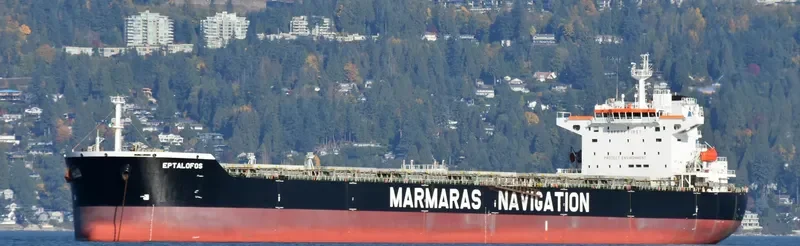 EPTALOFOS Bulk Carrier IMO 9343869