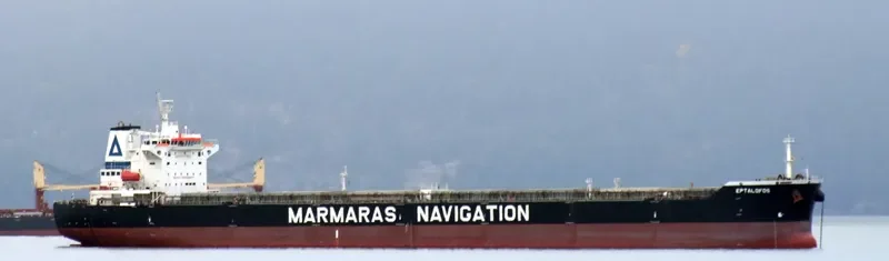 EPTALOFOS Bulk Carrier IMO 9343869 photo 3
