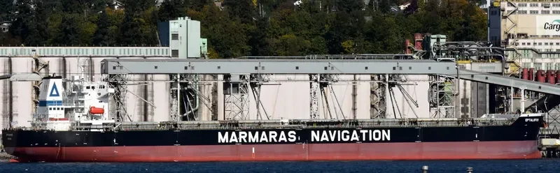 EPTALOFOS Bulk Carrier IMO 9343869 photo 4