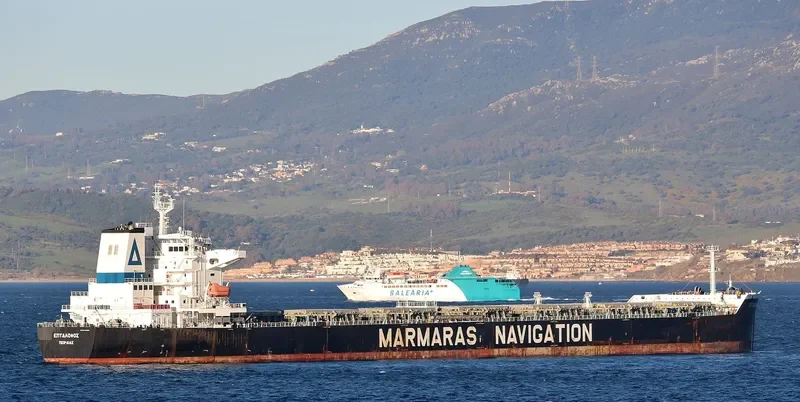 EPTALOFOS Bulk Carrier IMO 9343869 photo 9