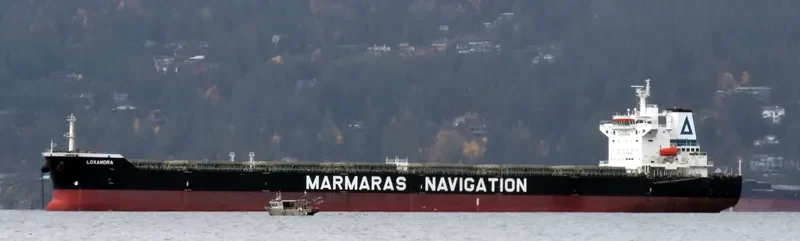 LOXANDRA Bulk Carrier IMO 9343871 photo 2