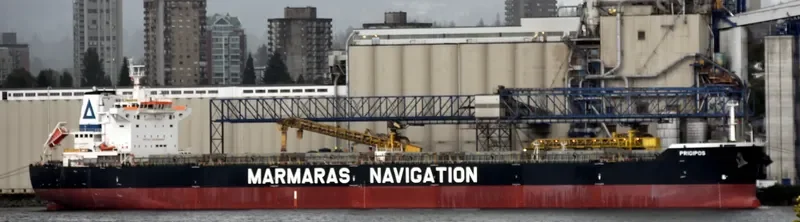 PRIGIPOS Bulk Carrier IMO 9343883 photo 2