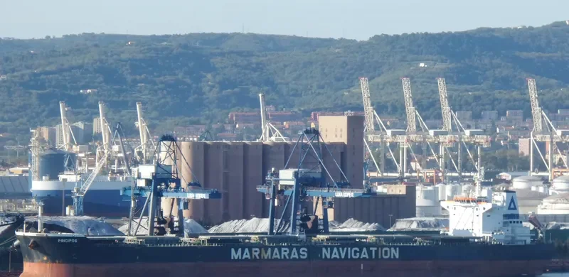 PRIGIPOS Bulk Carrier IMO 9343883 photo 10