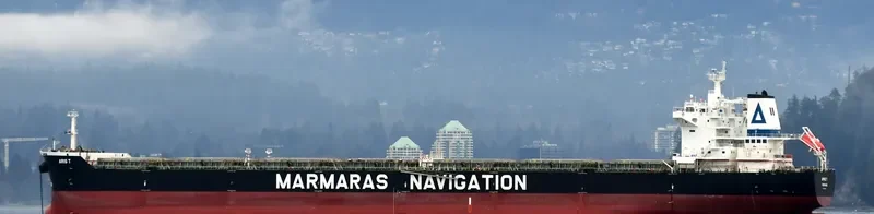 ARIS T Bulk Carrier IMO 9343895 photo 3