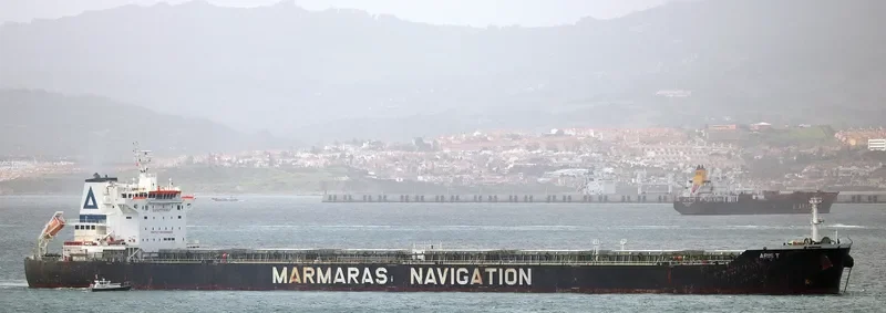 ARIS T Bulk Carrier IMO 9343895 photo 7