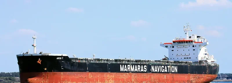 ARIS T Bulk Carrier IMO 9343895 photo 8
