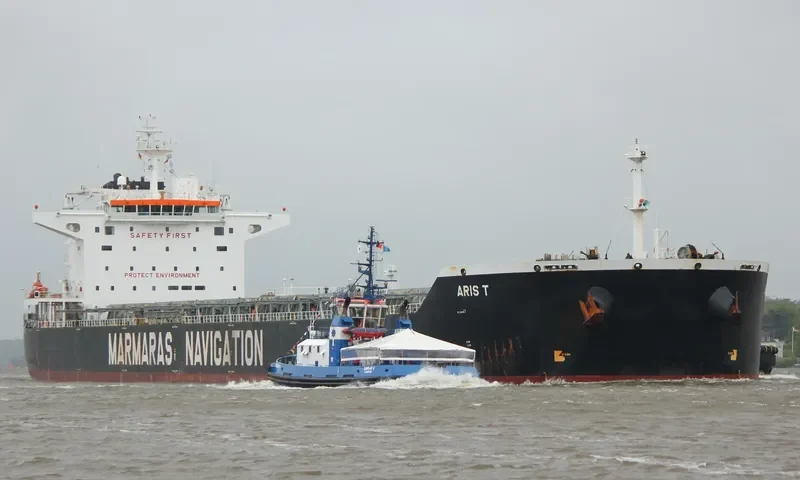 ARIS T Bulk Carrier IMO 9343895 photo 9