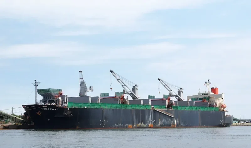 WORLD SWAN II Bulk Carrier IMO 9344045