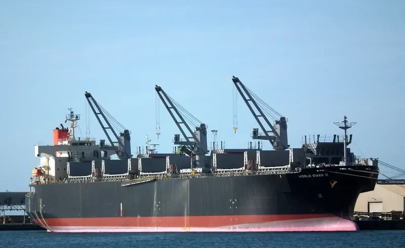 WORLD SWAN II Bulk Carrier IMO 9344045 photo 3