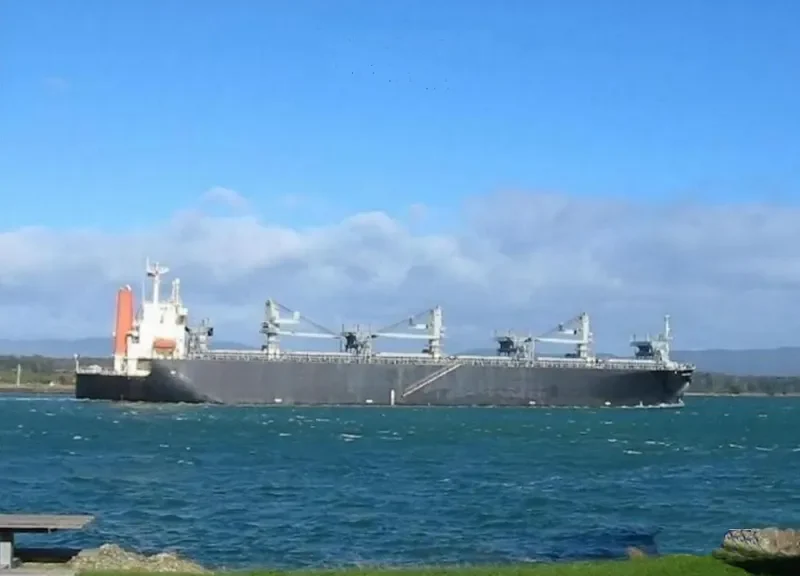 WORLD SWAN II Bulk Carrier IMO 9344045 photo 4