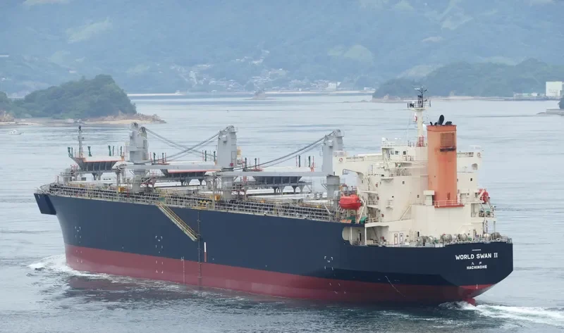 WORLD SWAN II Bulk Carrier IMO 9344045 photo 5