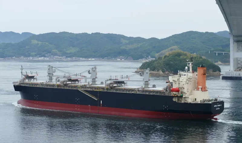 WORLD SWAN II Bulk Carrier IMO 9344045 photo 6