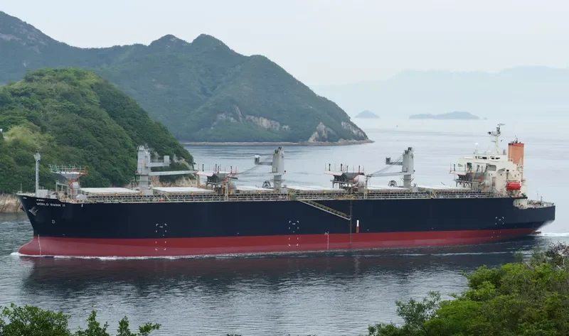 WORLD SWAN II Bulk Carrier IMO 9344045 photo 8