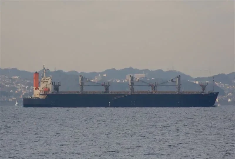 WORLD SWAN II Bulk Carrier IMO 9344045 photo 10