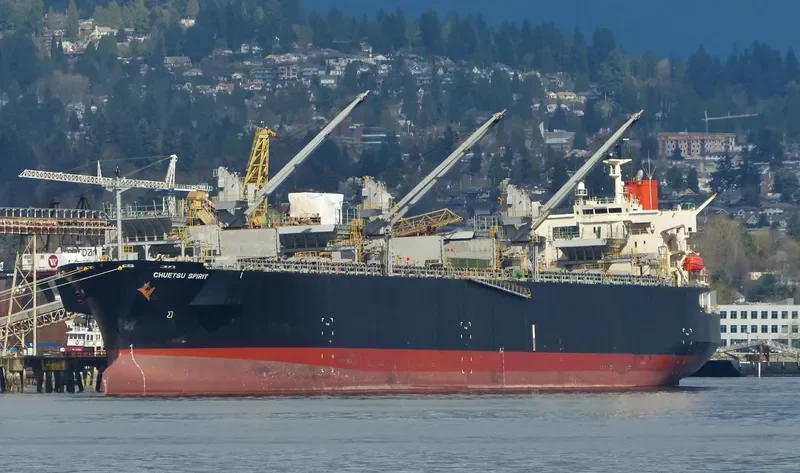 CHUETSU SPIRIT Bulk Carrier IMO 9344057 photo 2