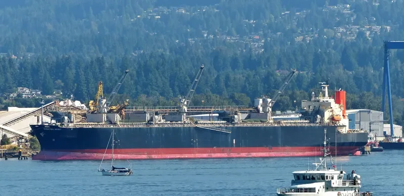 CHUETSU SPIRIT Bulk Carrier IMO 9344057 photo 7